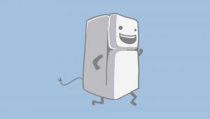 fridge maintenance